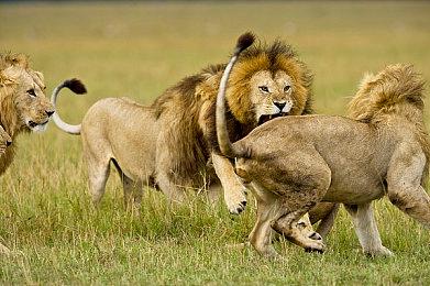 快手YzG阿韵亮相ChinaJoy，《永劫无间》车轮战PK秀翻全场