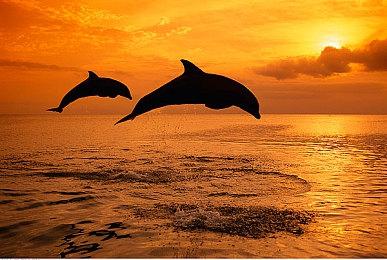 英国周榜：《纸片马里奥》《霍格沃茨》榜首竞争激烈